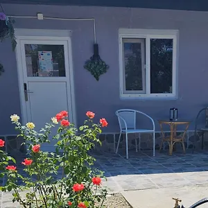 The Purple House-villa In Vilă